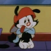 wakko (animaniacs)